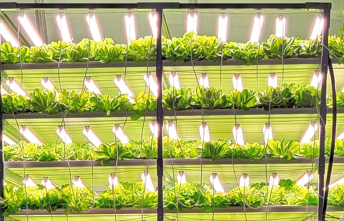 Vertical growing racks