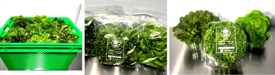 Packaging options